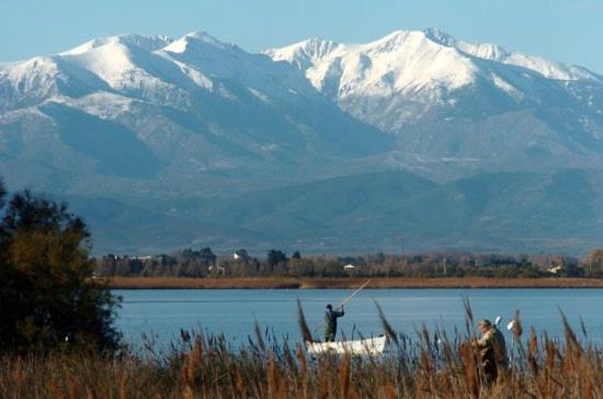 Muriel Le Mar Estang Canet-en-Roussillon Dış mekan fotoğraf